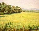 paisatge_10