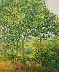 paisatge_18