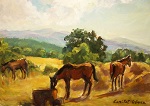 paisatge_24